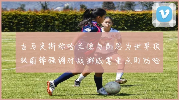 吉马良斯称哈兰德与凯恩为世界顶级前锋强调对战挪威需重点盯防哈兰德